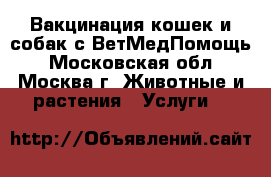  Вакцинация кошек и собак с ВетМедПомощь - Московская обл., Москва г. Животные и растения » Услуги   
